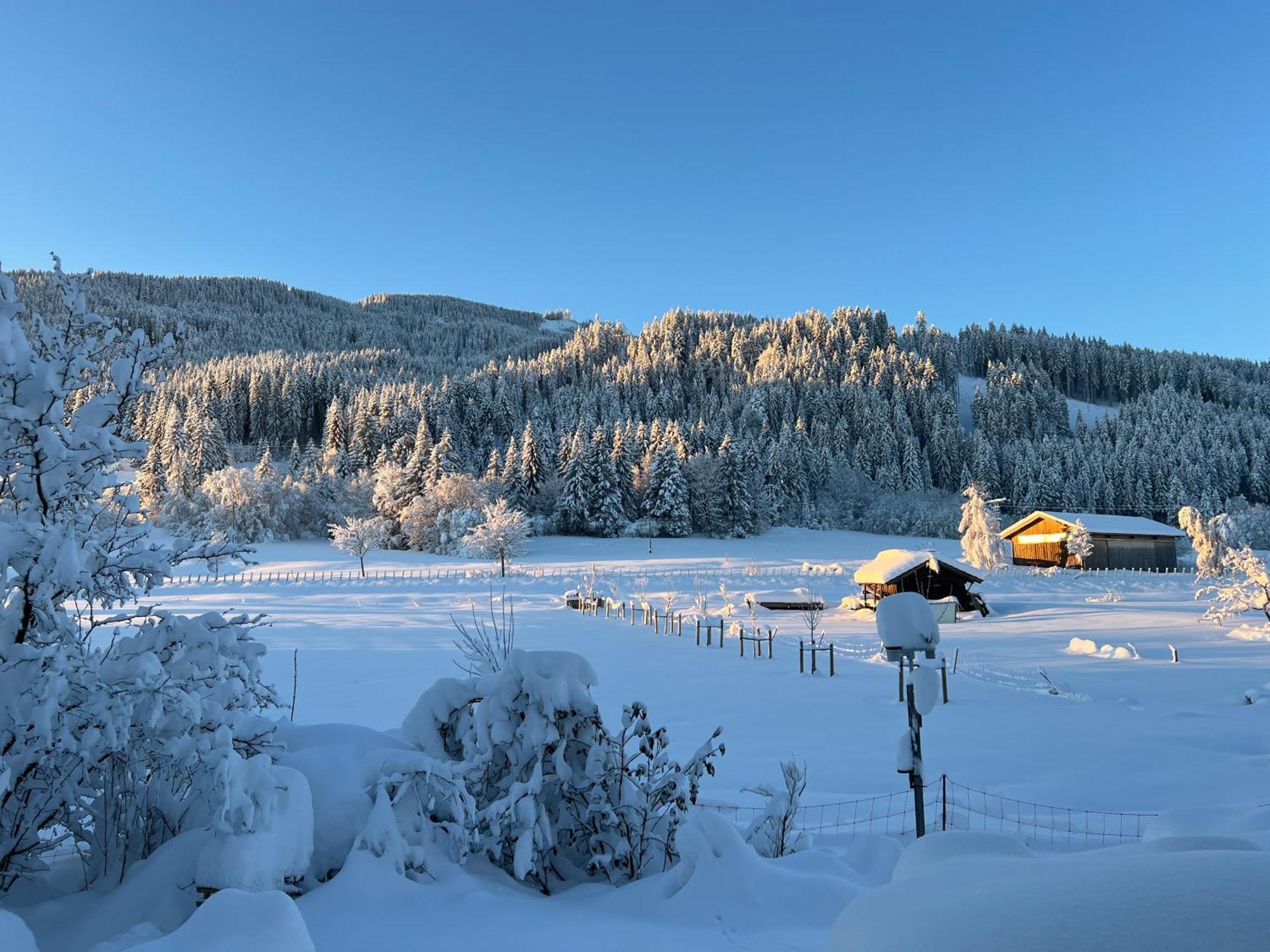 Beim Patzelt - Ferienhaus In Nesselwang Exteriör bild