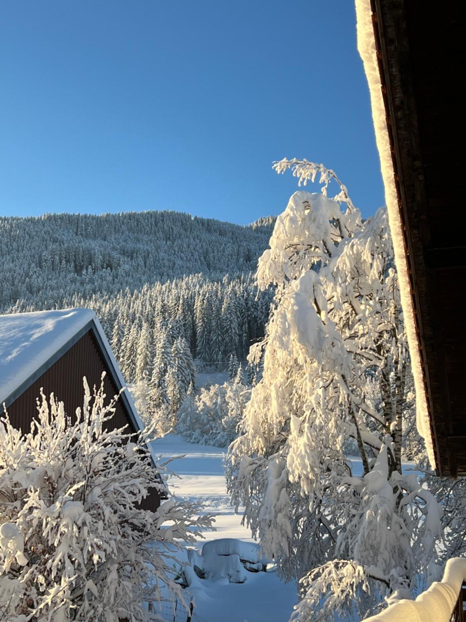 Beim Patzelt - Ferienhaus In Nesselwang Exteriör bild